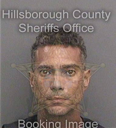 Ramon Santiagoestevez, - Hillsborough County, FL 