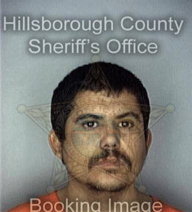 Dagoberto Vegahernandez, - Hillsborough County, FL 