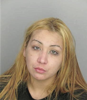 Kristen Bravar - Hillsborough County, FL 