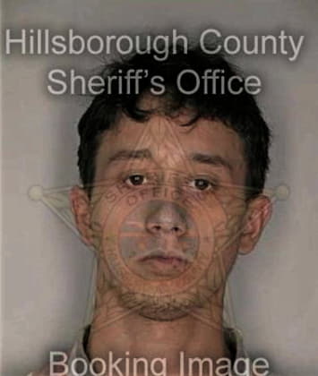 Alfonso Chimbo - Hillsborough County, FL 