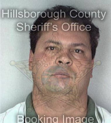 Anthony Colon, - Hillsborough County, FL 