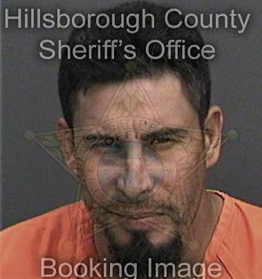 Alejandro Degolladogarcia, - Hillsborough County, FL 