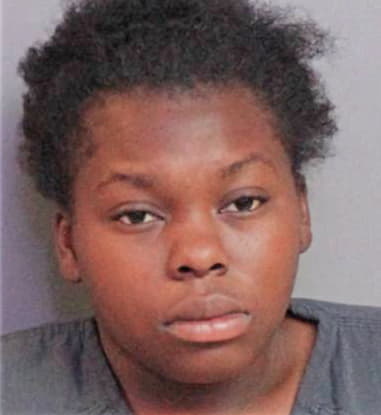 Alexandria Slyke - Polk County, FL 