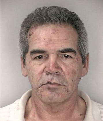 Luis Torrezlanca, - Hillsborough County, FL 