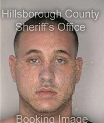 Salvatore Verdi, - Hillsborough County, FL 