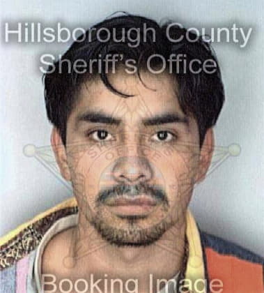 Javier Carrchurebello, - Hillsborough County, FL 