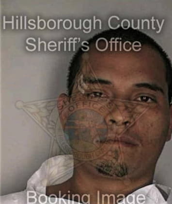 Albert Cleaver - Hillsborough County, FL 