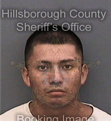 Dominic Dostilio, - Hillsborough County, FL 