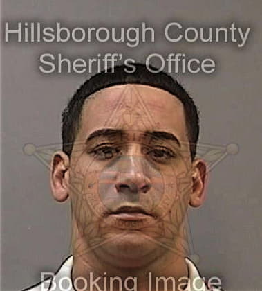 William Ferguson, - Hillsborough County, FL 