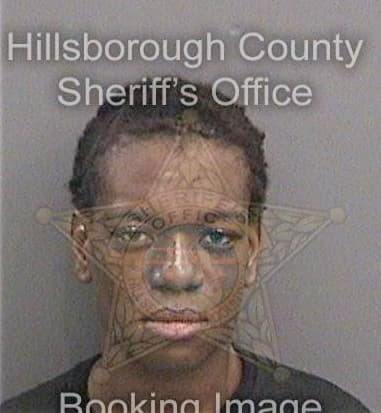 Khristophersen Gauthier, - Hillsborough County, FL 