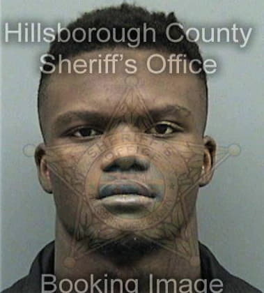 Collins Matthew - Hillsborough County, FL 