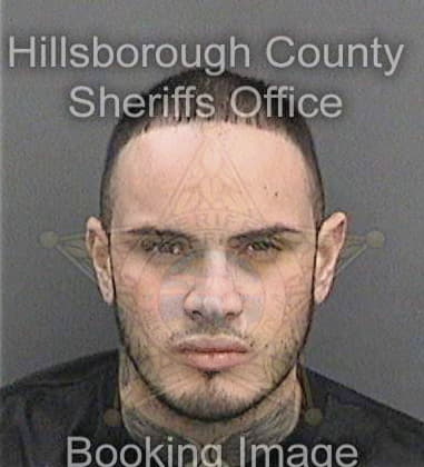 Tyler Mercer - Hillsborough County, FL 