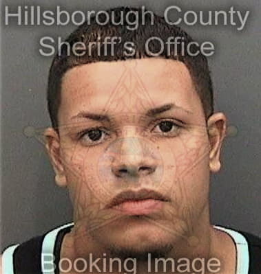 Garrett Phelps, - Hillsborough County, FL 