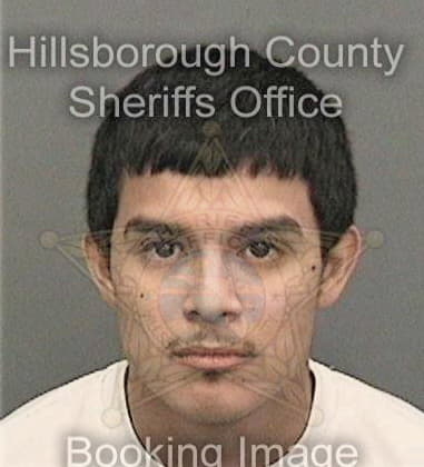 Gregory Smithson, - Hillsborough County, FL 