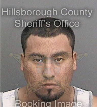 Hisham Soleiman, - Hillsborough County, FL 