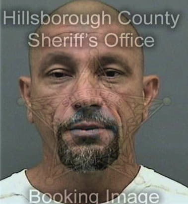 Antoniel Velezbonilla, - Hillsborough County, FL 