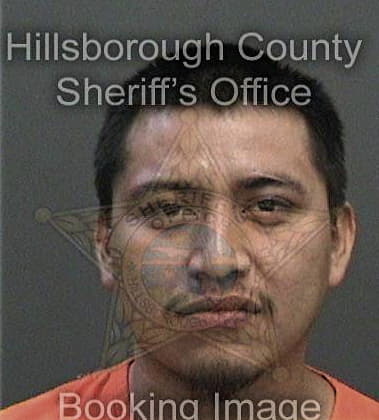 Ryan Casale, - Hillsborough County, FL 