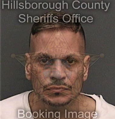 David Garcia, - Hillsborough County, FL 