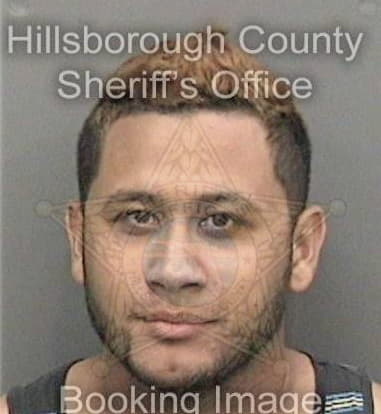 Carlos Gayol, - Hillsborough County, FL 