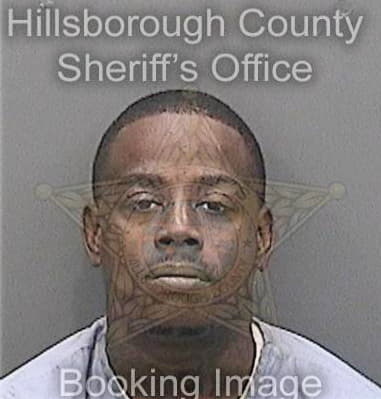 Kendrick George, - Hillsborough County, FL 