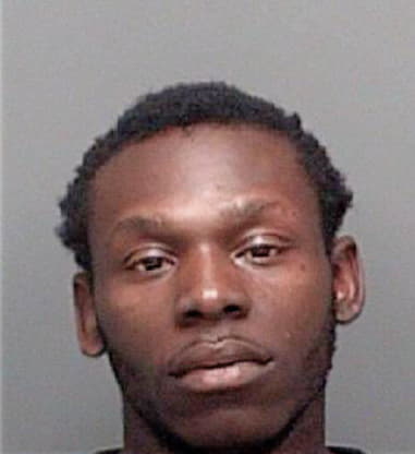 Mohamid Ibrahim, - Pinellas County, FL 