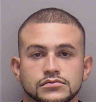 Vicente Juan-Francisco, - Lee County, FL 