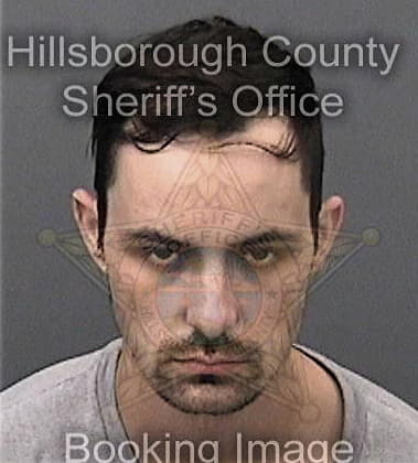 Richard McElveen - Hillsborough County, FL 