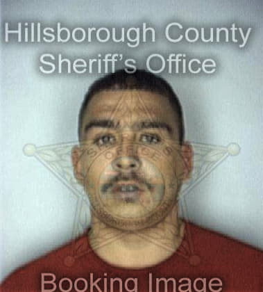 David Prieto, - Hillsborough County, FL 