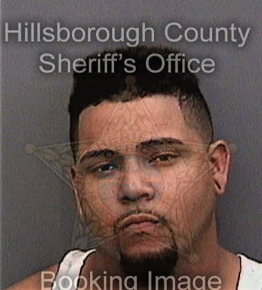 Michael Santana, - Hillsborough County, FL 