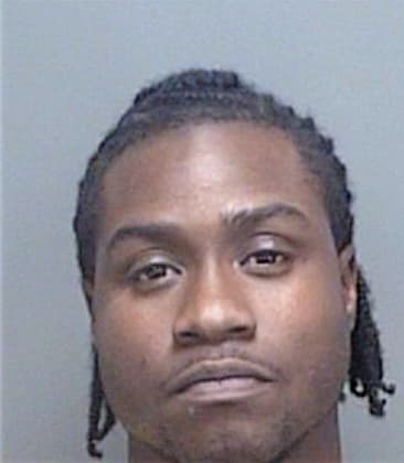 Derrick Adams, - Pinellas County, FL 