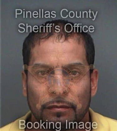 Eric Enriquez, - Pinellas County, FL 