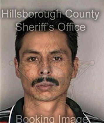 Malcon Garciarodriguez, - Hillsborough County, FL 