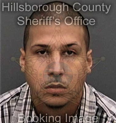 Wilfredo Garciasucuqui, - Hillsborough County, FL 