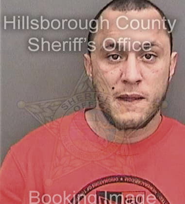 Dayron Perezcontera, - Hillsborough County, FL 