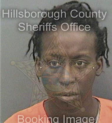 Joshua Ramsay, - Hillsborough County, FL 