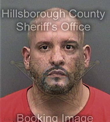 Fernando Rosariotorres, - Hillsborough County, FL 