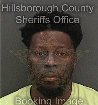 Winelson Ulysse, - Hillsborough County, FL 