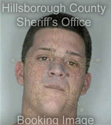 James Alcott, - Hillsborough County, FL 