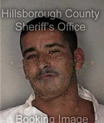 Ricardo Jardine, - Hillsborough County, FL 