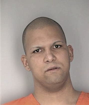 Alejandro Martinez, - Hillsborough County, FL 