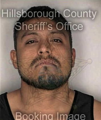 Glen Maxwell - Hillsborough County, FL 