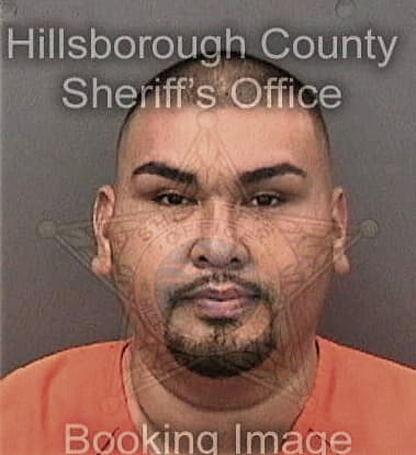 Miguel Mejiarosado - Hillsborough County, FL 
