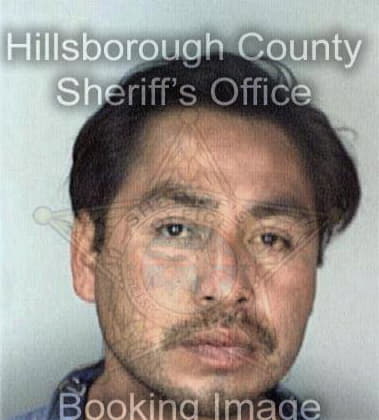 Ismael Quinones, - Hillsborough County, FL 