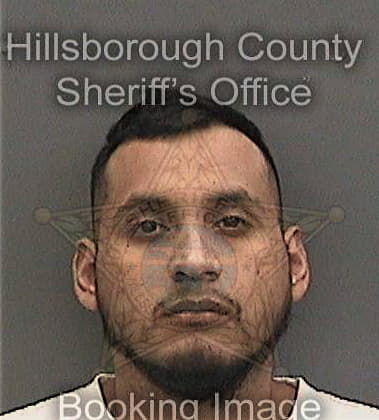 Matthew Schneider, - Hillsborough County, FL 