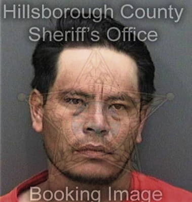 Richard Sylvester, - Hillsborough County, FL 