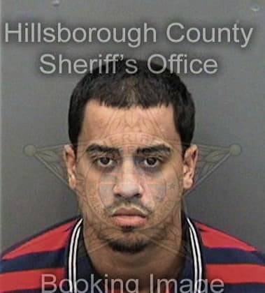 Brenton Wilding - Hillsborough County, FL 