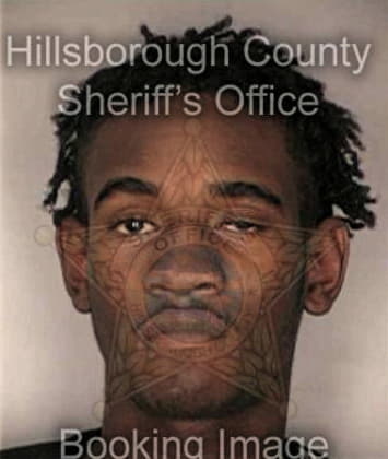 Demario Williams - Hillsborough County, FL 