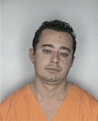 Hector Castillo, - Hillsborough County, FL 