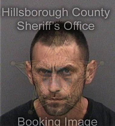 Ramon Felicianorodriguez, - Hillsborough County, FL 