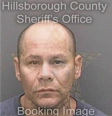 Abimael Negrontorres, - Hillsborough County, FL 